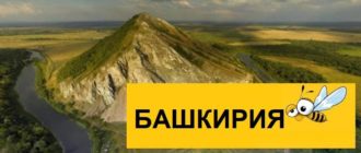 Тарифы Билайн для Республики Башкортостан в 2021 году